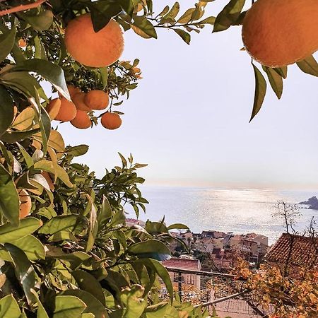 Apartman Lana Petrovac Luaran gambar